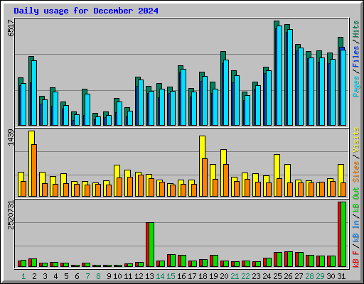 Daily usage for December 2024