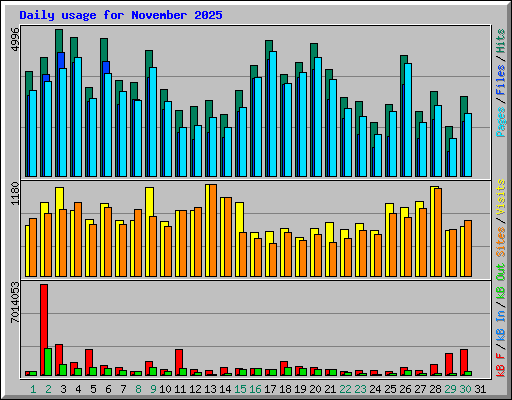 Daily usage for November 2025