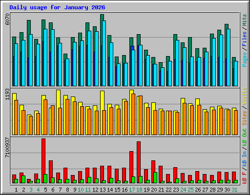 Daily usage for January 2026