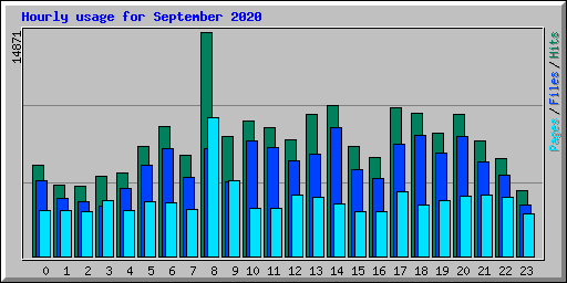 Hourly usage for September 2020