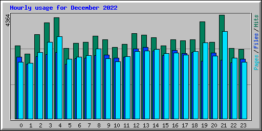 Hourly usage for December 2022