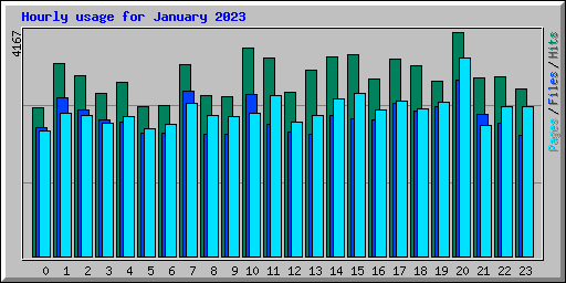 Hourly usage for January 2023