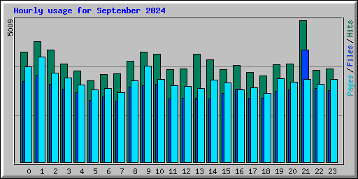 Hourly usage for September 2024