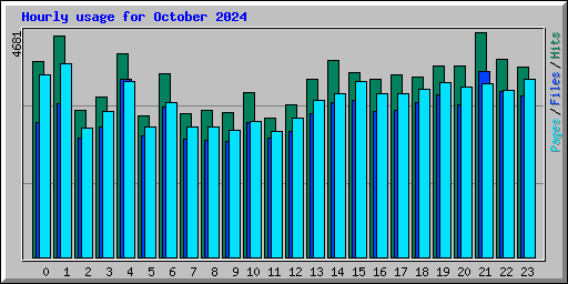 Hourly usage for October 2024