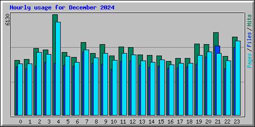 Hourly usage for December 2024