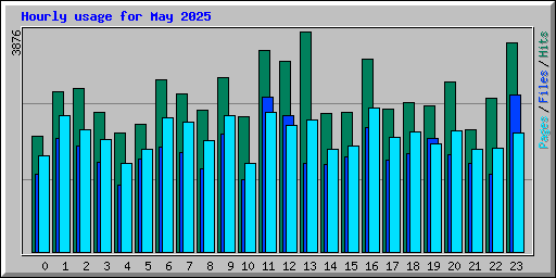 Hourly usage for May 2025