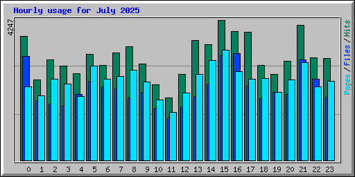 Hourly usage for July 2025