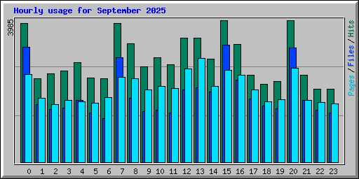 Hourly usage for September 2025