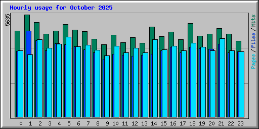 Hourly usage for October 2025