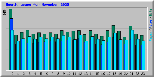 Hourly usage for November 2025
