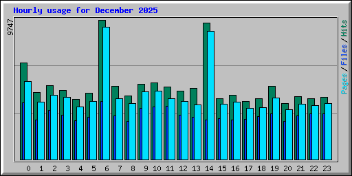 Hourly usage for December 2025