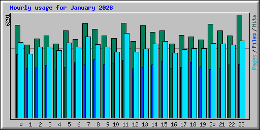 Hourly usage for January 2026