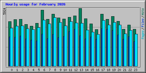 Hourly usage for February 2026