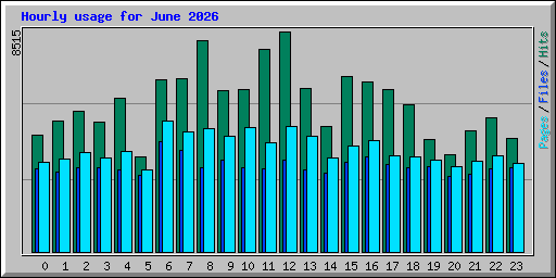 Hourly usage for June 2026