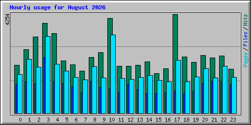 Hourly usage for August 2026